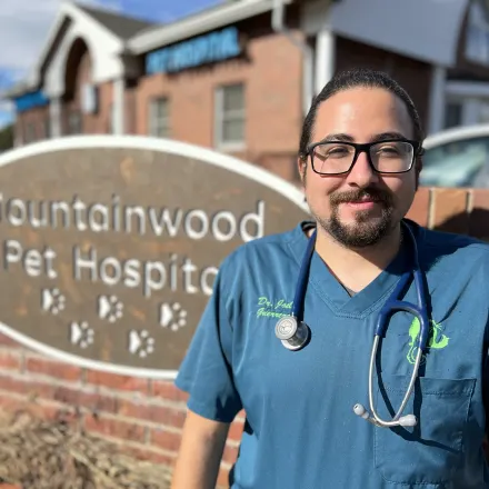 Dr. Joel Guerrero, vet at Mountainwood Pet Hospital